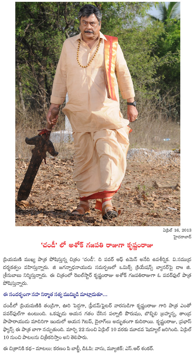 chandi movie news,rebel star krishnam raju in chandi,krishnam raju as ashok gajapathi raju in chandi,chandi film news,priyamani as chandi  chandi movie news, rebel star krishnam raju in chandi, krishnam raju as ashok gajapathi raju in chandi, chandi film news, priyamani as chandi